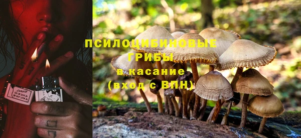 хмурый Алексеевка
