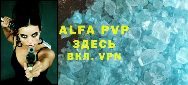 прущие грибы Вуктыл